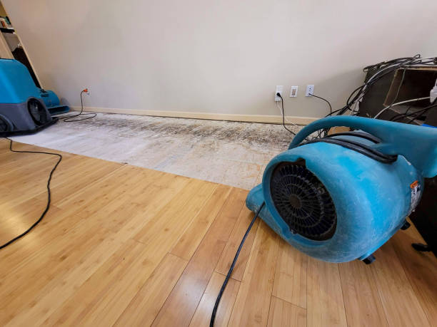 Professional Flood Damage Cleanup technician working in Clyman, WI